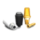 Megagen Implant